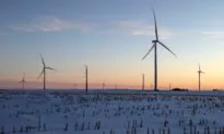 Climate Policy Is a Money-Making Opportunity for the Elite