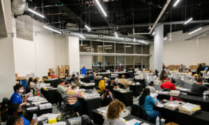 Georgia Election Board Refers 35 Voter Fraud Cases for Prosecution