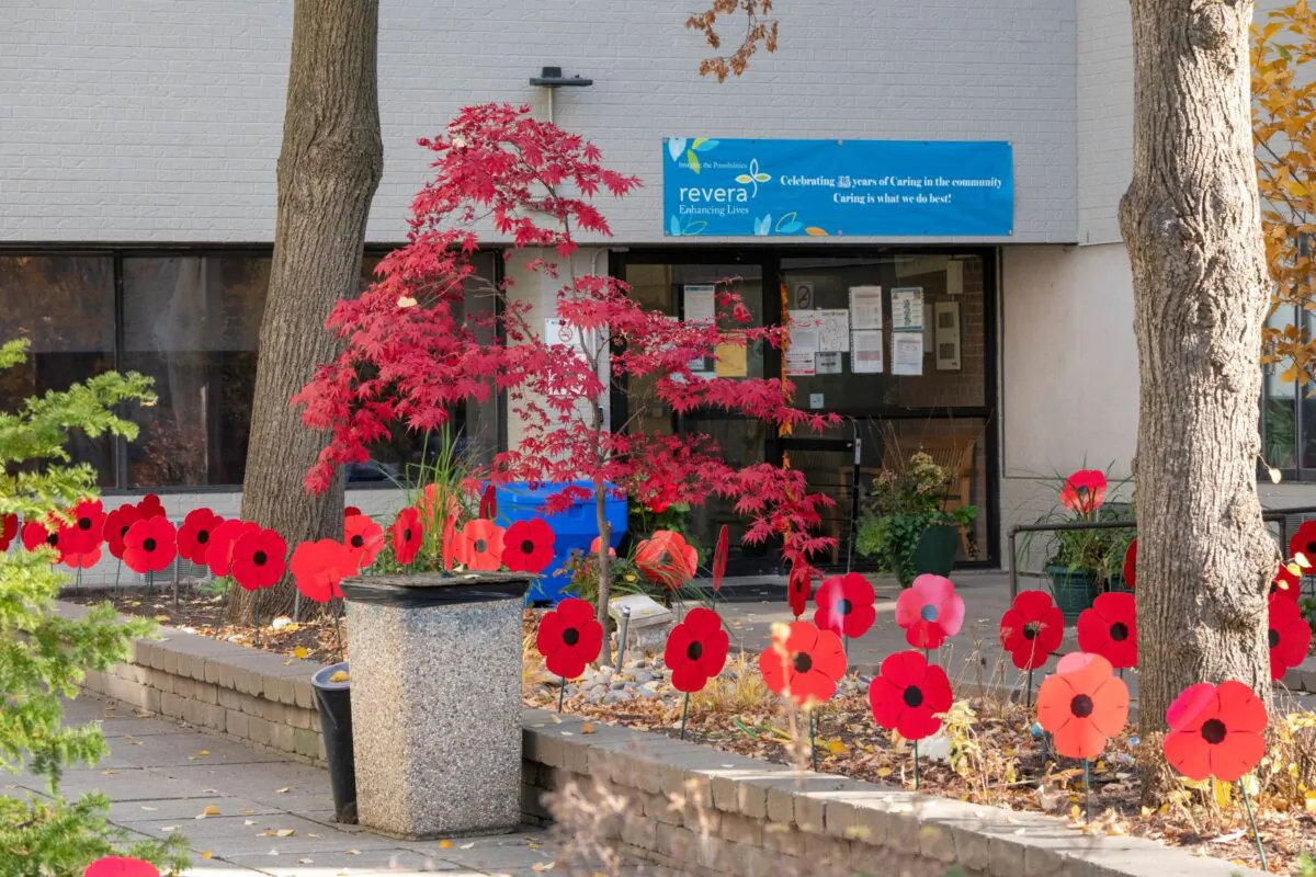 A sea of ornamental poppies sit in the gardens at Main Street Terrace long term care home in Toronto on November 9, 2020. (The Canadian Press/Frank Gunn)