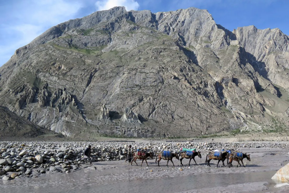 Porters and their mules make their way down from Baltoro glacier in the Karakoram range of Pakistan's mountain in the northern Gilgit region on Aug. 20, 2019. (Amelie Herenstein/AFP via Getty Images)