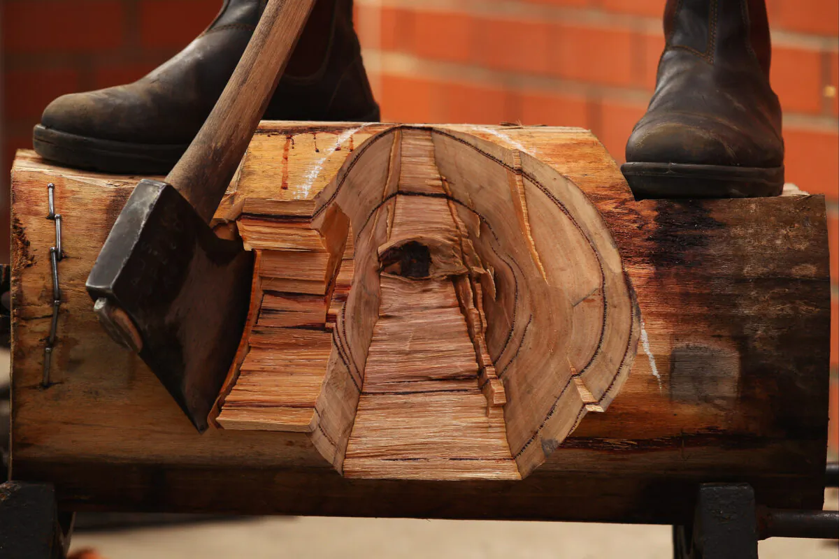 A competitor cuts a log in the Woodchop Stadium during the 2012 Sydney Royal Easter Show at the Sydney Showground on April 5, 2012 in Sydney, Australia. (Mark Kolbe/Getty Images)