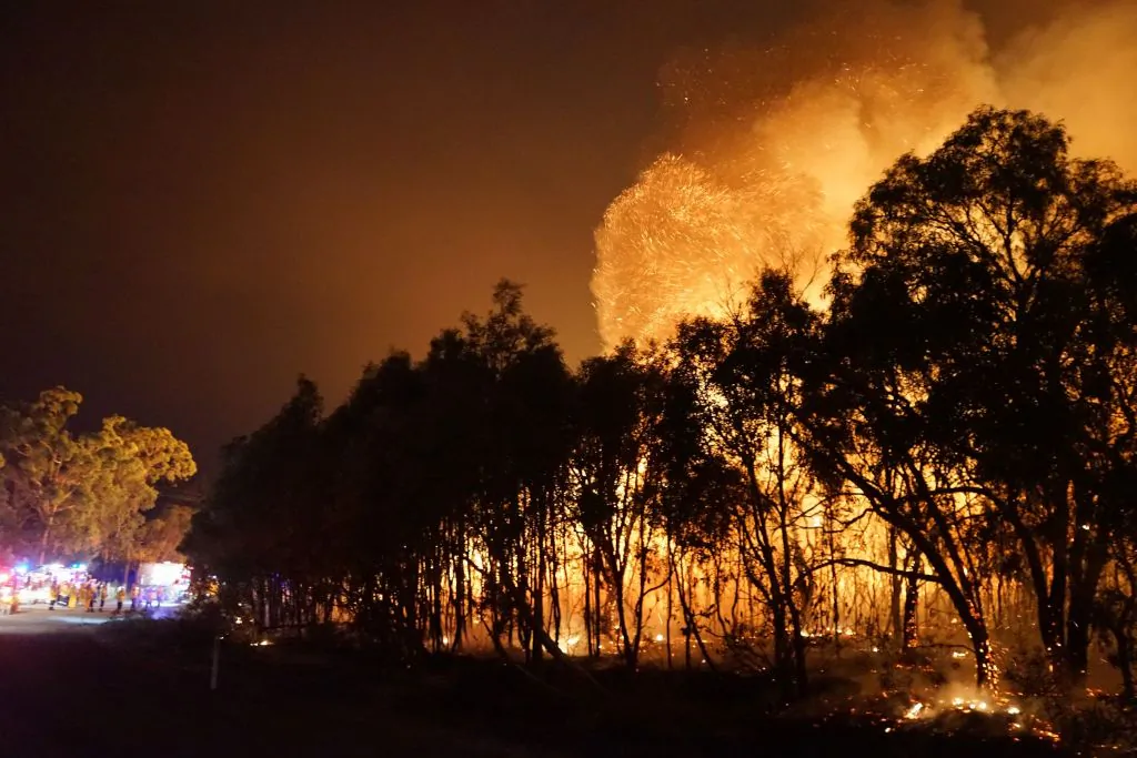 Firefighters (L) watch as a blaze moves through Deepwater National Park in Queensland on November 28, 2018. (ROB GRIFFITH/Getty Images)