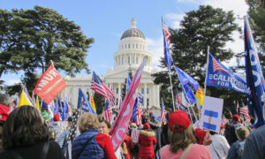 Congressional Candidates, Election Observers Speak on Voting Irregularities