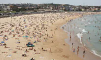 Game-Changing Melanoma Scanners Bring Hope for Early Detection