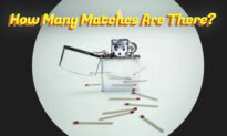 Can You Tell How Many Matchsticks Are in the Picture? How Sharp Are Your Observation Skills?