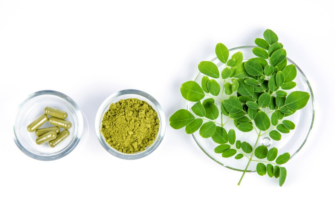 The moringa oleifera tree is stuffed with nutrients and compounds that have therapeutic benefits. (wasanajai/Shutterstock)