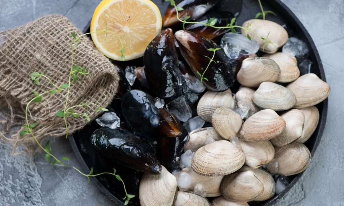 On the East Coast, the local diet was heavy on seafood such as clams, scallops, seaweed, oysters, mussels, eels, and fish. This recipe depends on a diversity of quality seafood. (Nickola Che/Shutterstock)