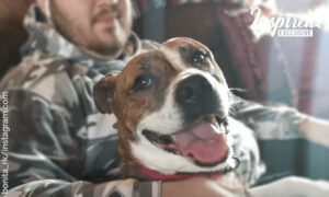 After 500 Days in Animal Shelter