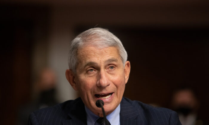 Anthony Fauci, director of National Institute of Allergy and Infectious Diseases at NIH, testifies at a Senate Health, Education, and Labor and Pensions Committee on Capitol Hill, in Washington on Sept. 23, 2020. (Graeme Jennings/Pool/Getty Images)