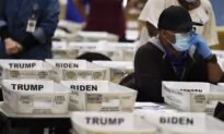 Vote Irregularities in Pennsylvania and Georgia: Data Expert