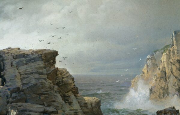 Detail of the birds and sea spray in “A Rocky Coast.”