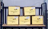 Georgia Recount Plagued by Anomalies, According to Sworn Affidavits