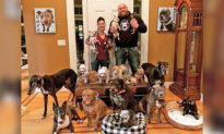 Couple Who Lost Their Elderly Canine Are on a Mission to Help Disabled and Senior Dogs