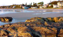 Passing a Pandemic Day at Crystal Cove State Park