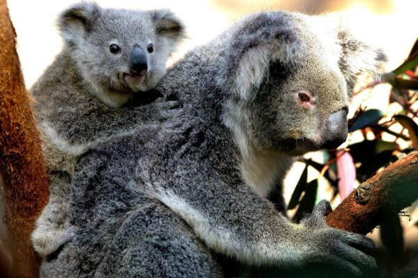 Epoch Times Photo