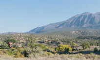 Making Wine at 5,340 Feet: Sutcliffe Vineyards 