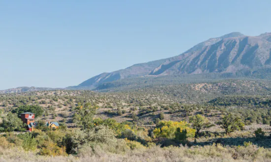 Making Wine at 5,340 Feet: Sutcliffe Vineyards 