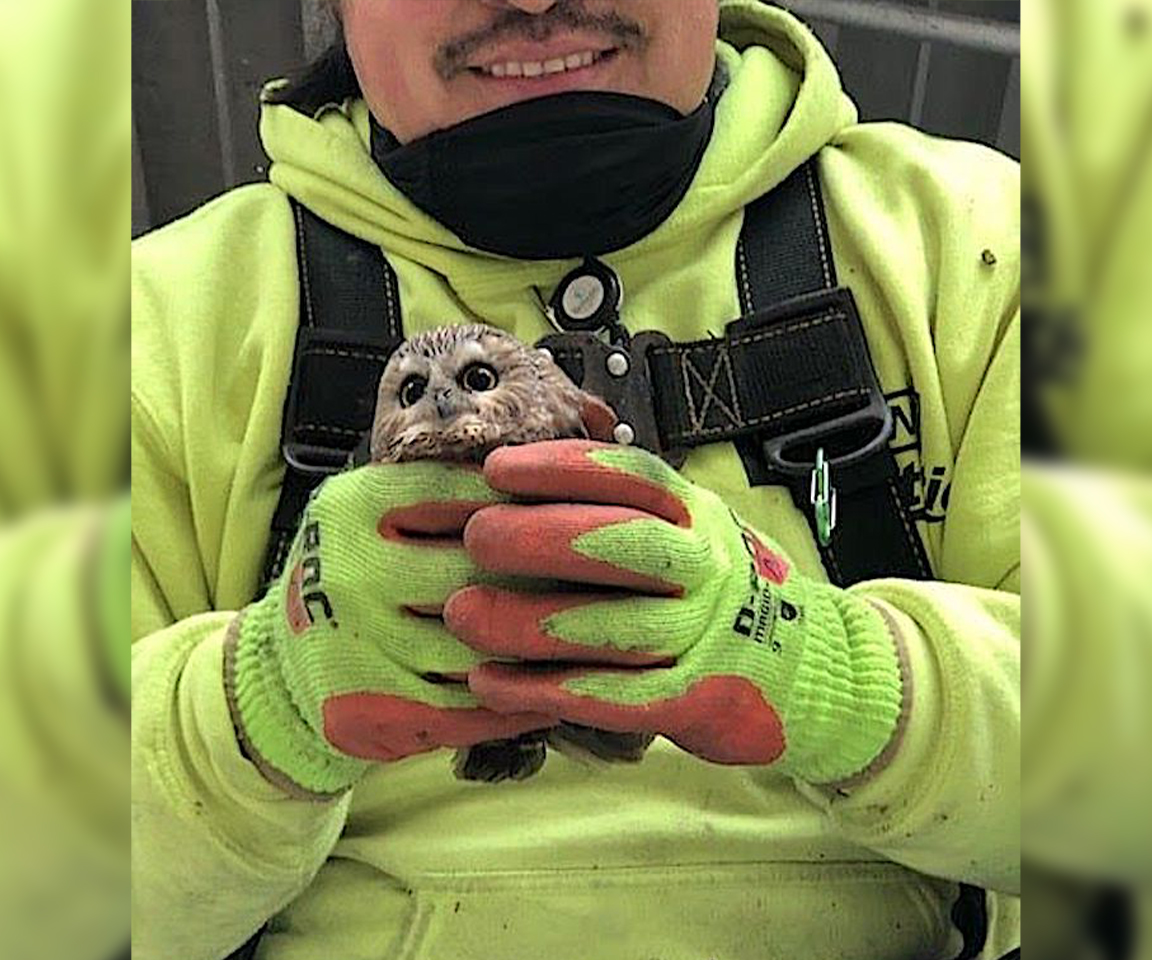 Epoch Times Photo