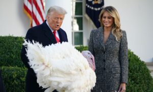 Trump, First Lady Pardon National Thanksgiving Turkey at White House