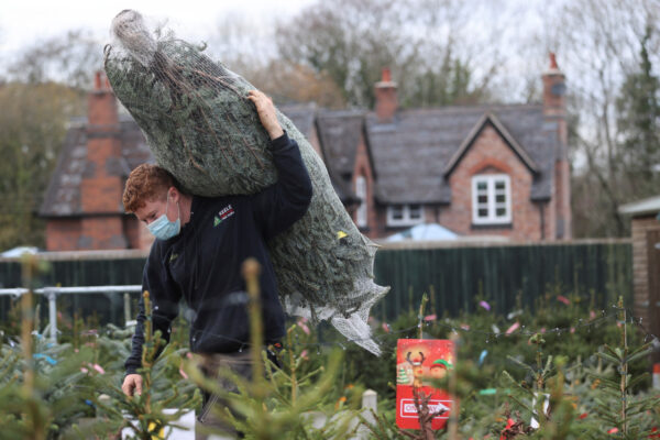 A worker carries a tree at a Christmas Tree Farm