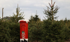 Whole of UK Relaxes CCP Virus Rules for 5 Days Over Christmas