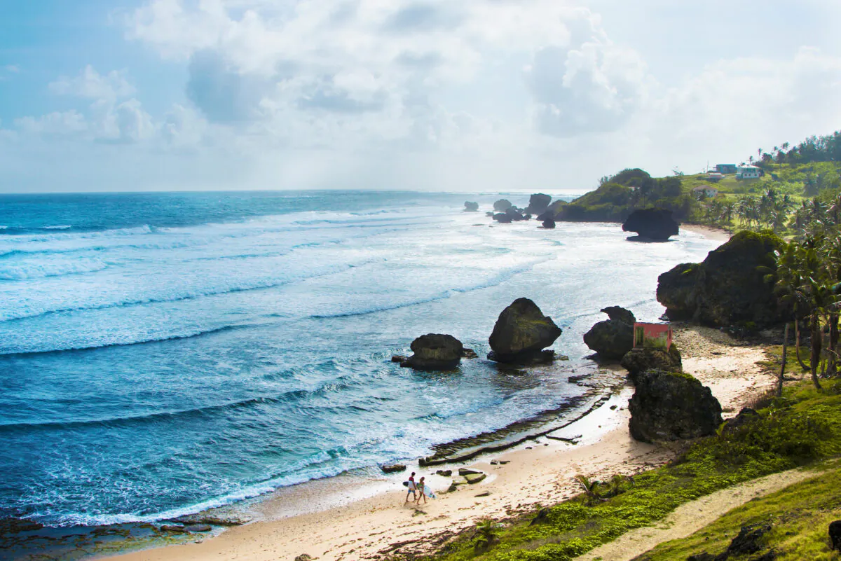 Bathsheba is a world-famous surfing destination. (Courtesy of Barbados Tourism)