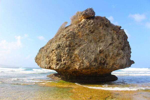 barbados