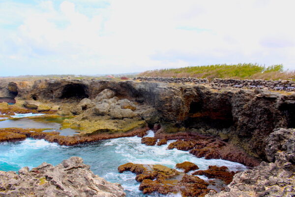 barbados