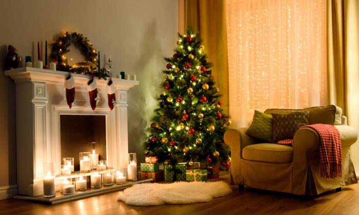 Live Christmas trees have become more popular in recent years. (MestoSveta/Shutterstock)