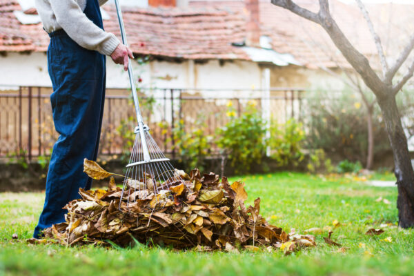 raking leaves