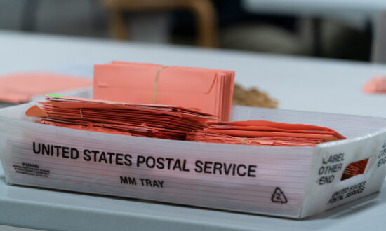 Security Concerns During Georgia Recount