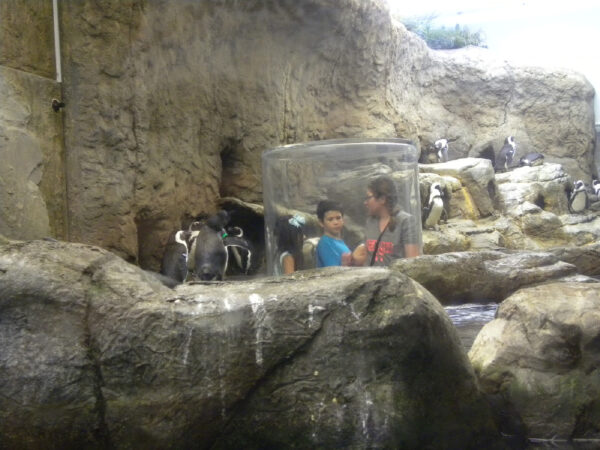 aquarium
