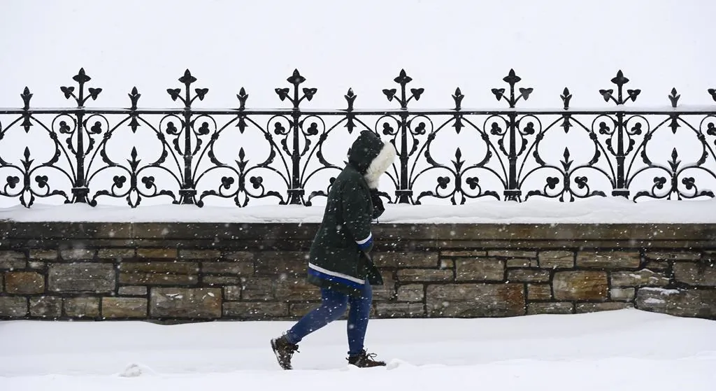 A pedestrian walks in the snow in downtown Ottawa on Nov. 25, 2020. (The Canadian Press/Sean Kilpatrick)