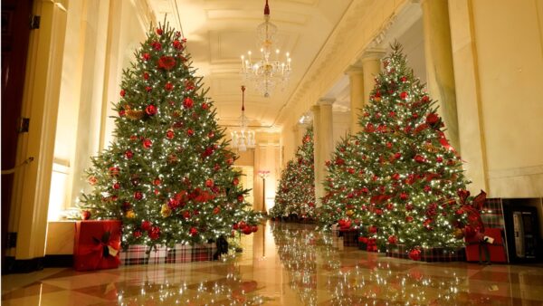 Christmas preview at the White House