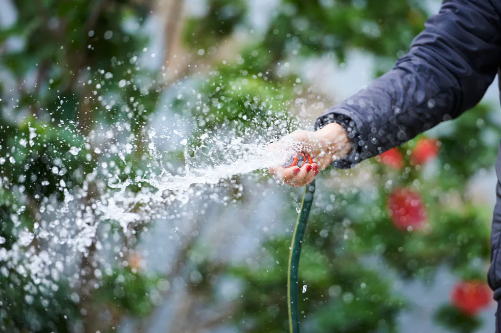A Sydney resident waters the garden using a hose without a trigger nozzle on June 01, 2019 in Sydney, Australia. (Jaimi Chisholm/Getty Images)