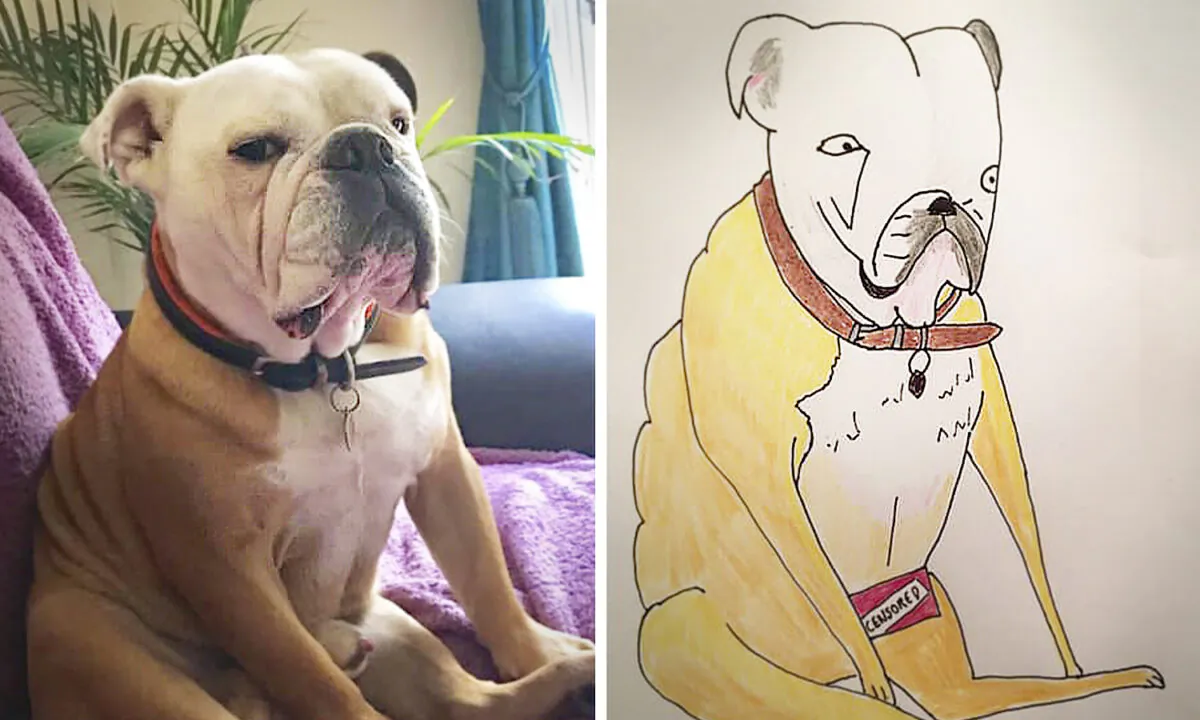 Man Posts Joke Pet Portraits Online Only to Be Flooded With Commissions