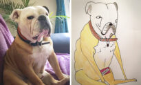 Man Posts Joke Pet Portraits Online Only to Be Flooded With Commissions, Raises 5,000 Pounds for Charity