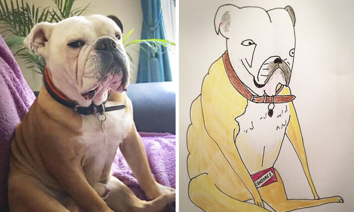 Man Posts Joke Pet Portraits Online Only To Be Flooded With Commissions Raises 5 000 Pounds For Charity
