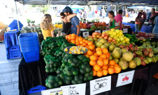 A Social Media Blitz Launched to Fill More Than 26,000 Vacant Farm Jobs in QLD, Vic and NSW