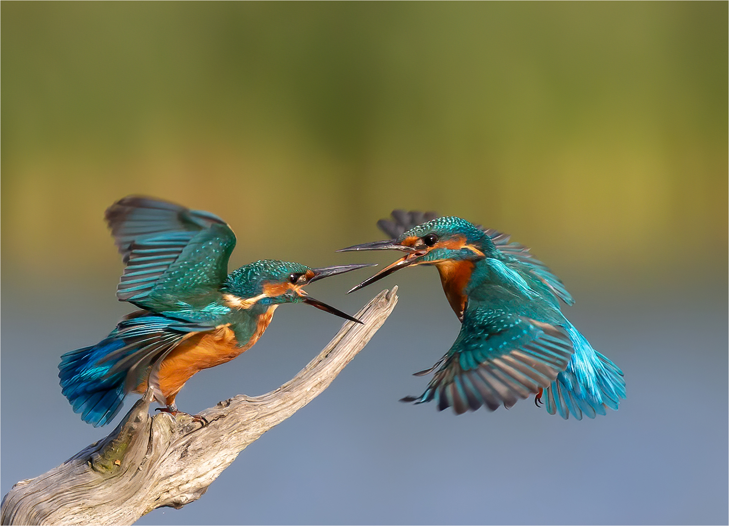 Epoch Times Photo
