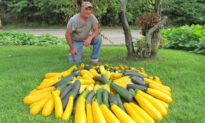 Man Grows Food on Traffic Island, Has Donated 20,000 Pounds of Produce to People in Need