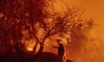Mismanagement Contributes to Longer Fire Seasons, Researchers Say 