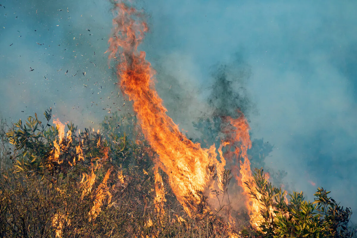 Flames rise in the Bond Fire in Orange County, Calif., on Dec. 3, 2020. (John Fredricks/The Epoch Times) 