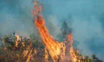 Santa Ana Winds, Red Flag Warning Return to Orange County