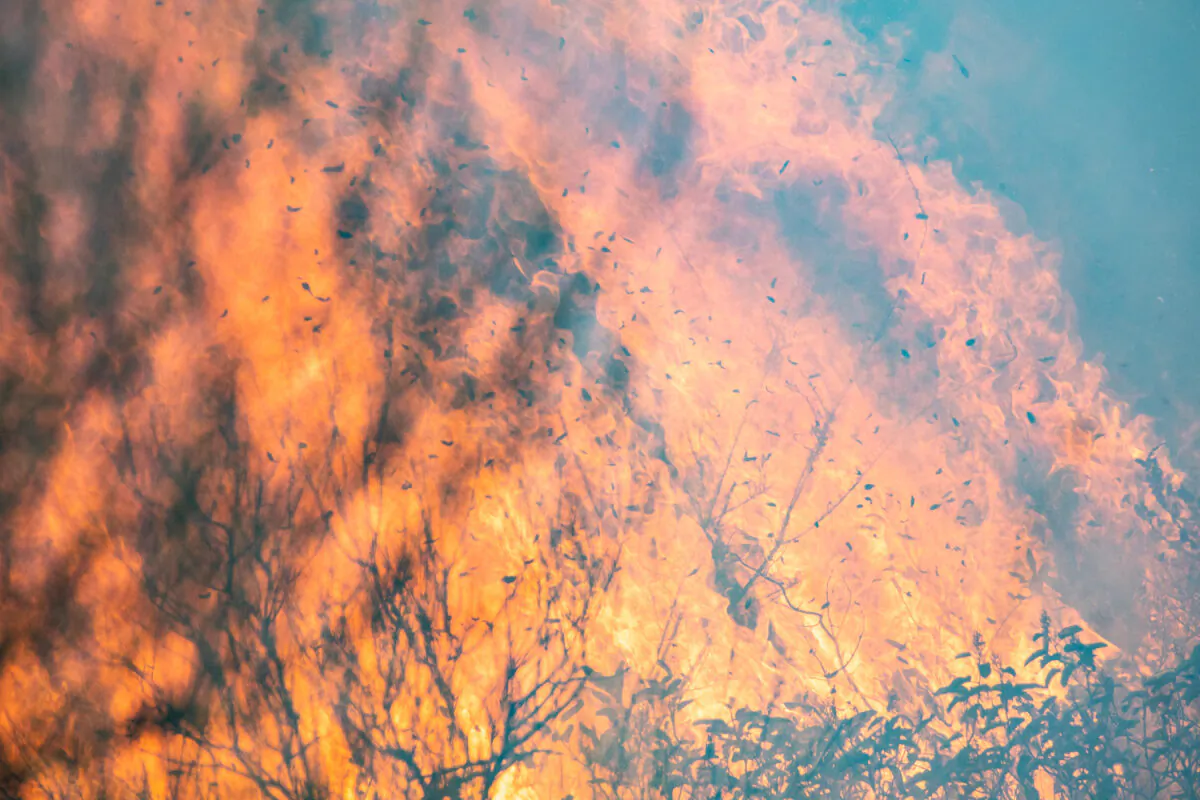 The Bond Fire burns in Silverado Canyon, Calif., on Dec. 3, 2020. (John Fredricks/The Epoch Times)