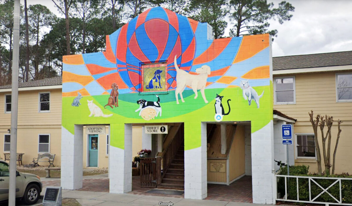 Animal Shelter Celebrates Silent Kennel After Every Dog Adopted