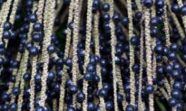 Açaí Versus Wild Blueberries for Artery Function