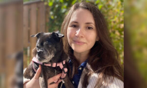 Senior Dog Dumped in Plastic Bag on Roadside Makes Recovery, Finds New Home