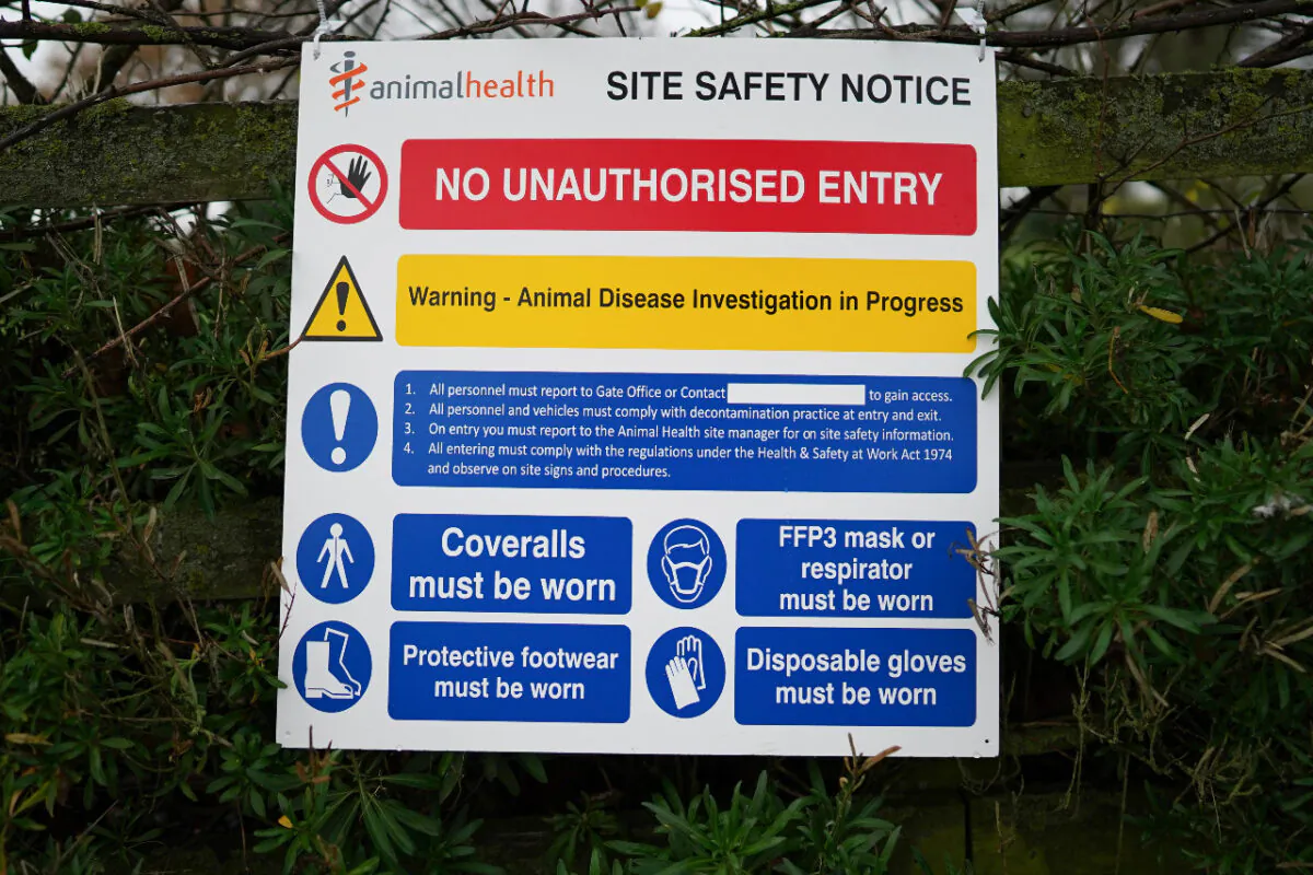 A warning sign hangs from a fence at a farm near Northallerton after an outbreak of Avian flu was confirmed at a commercial turkey fattening farm in Hambleton, North Yorkshire, on Nov. 29, 2020. (Ian Forsyth/Getty Images)