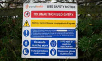Highly Infectious Strain of Bird Flu Found on Two More English Turkey Farms